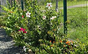 Villa Hibiscus De Charme Avec Piscine Privee